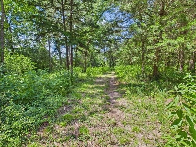 44.62 acres in Anderson County - photo 5