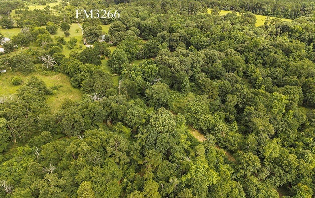 44.62 acres in Anderson County - photo 49