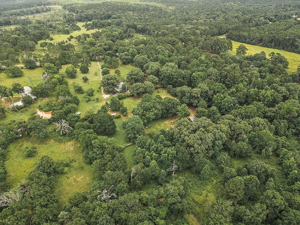 44.62 acres in Anderson County - photo 45