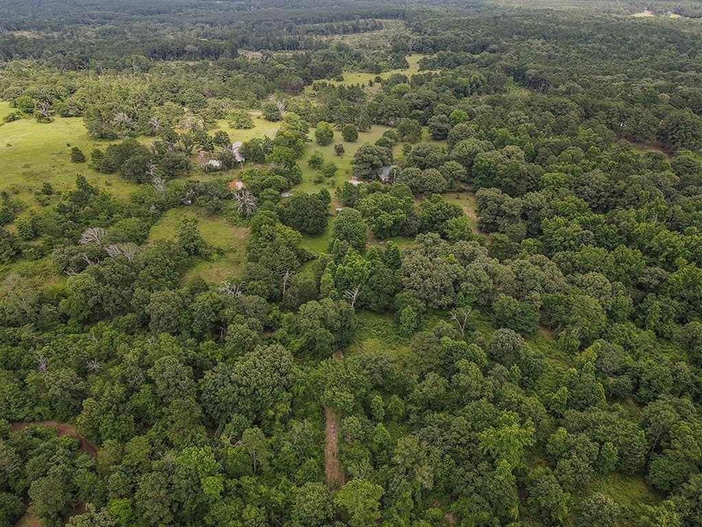 44.62 acres in Anderson County - photo 43