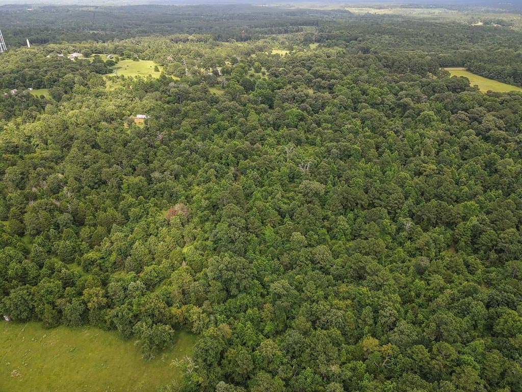 44.62 acres in Anderson County - photo 46