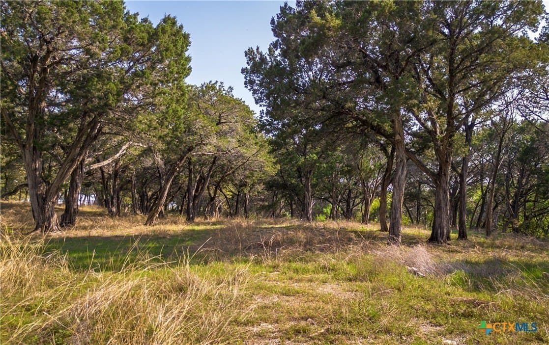 5.2 acres in Hill County - photo 7