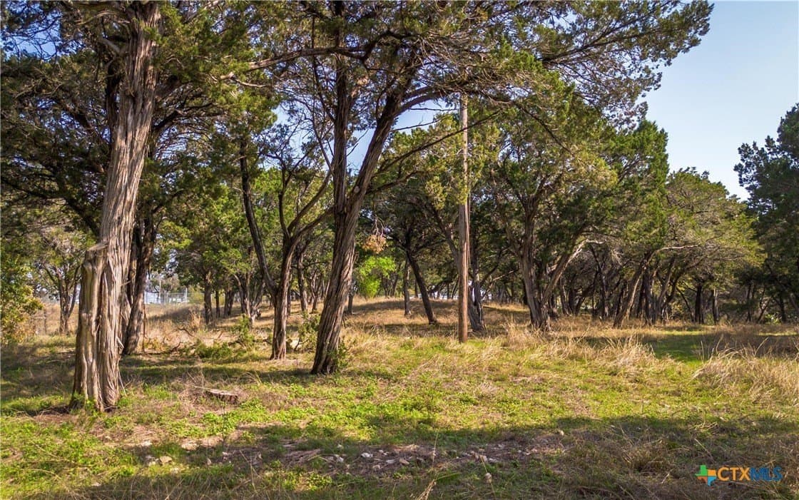 5.2 acres in Hill County - photo 6