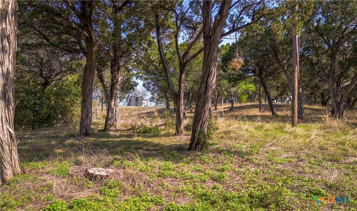 5.2 acres in Hill County - photo 5