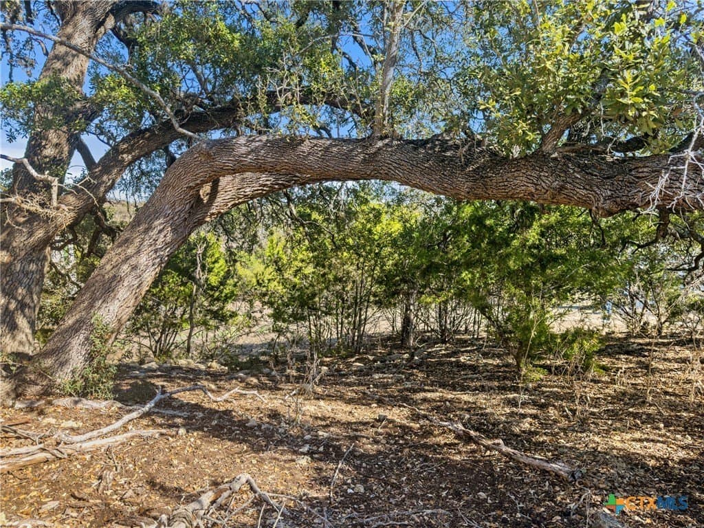 1.13 acres in Comal County - photo 7