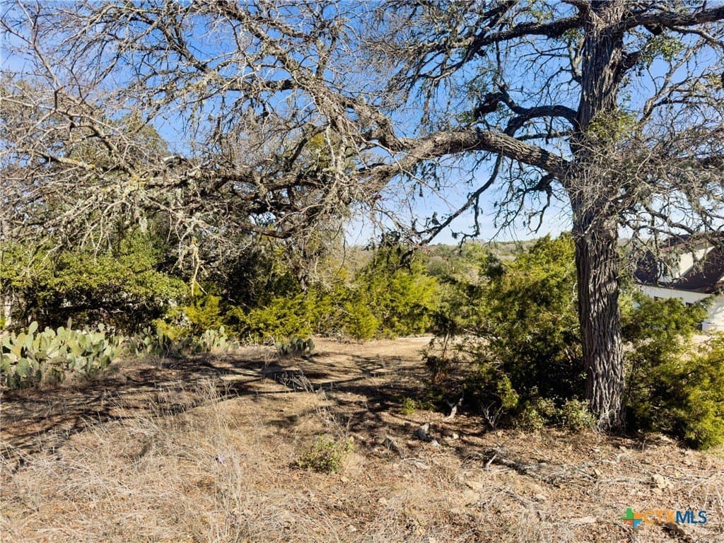 1.13 acres in Comal County - photo 11