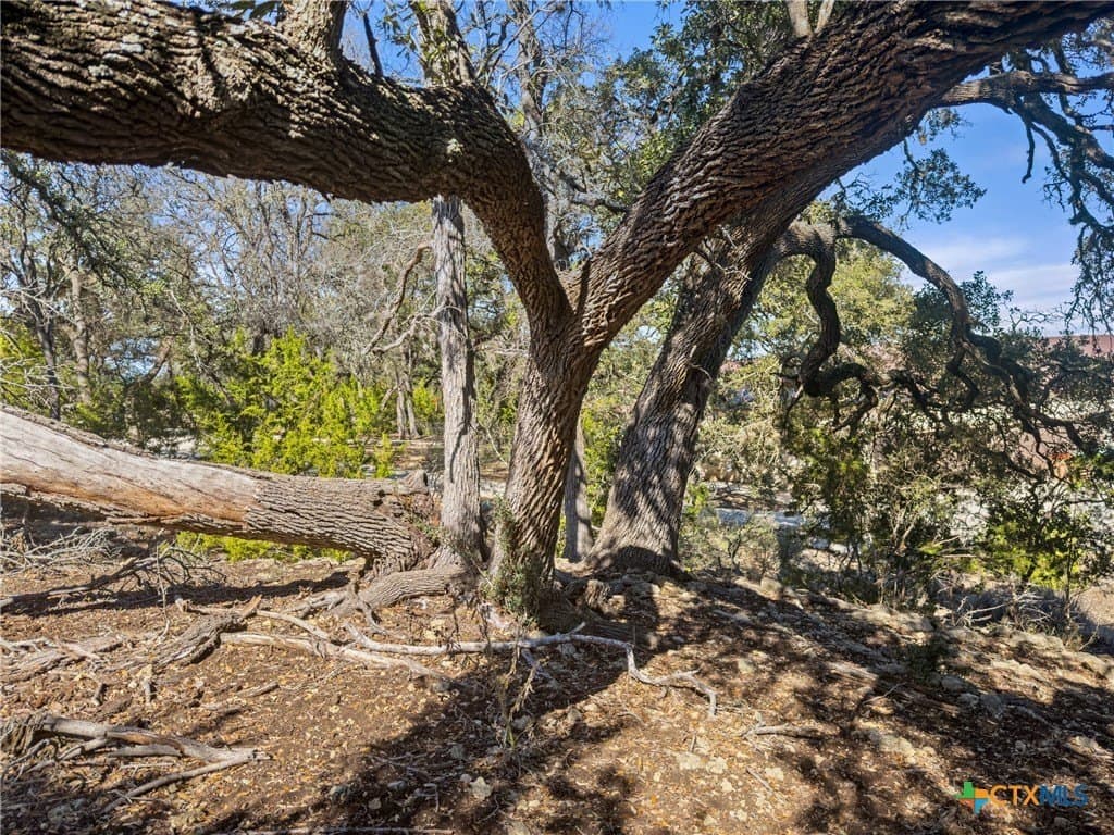 1.13 acres in Comal County - photo 6