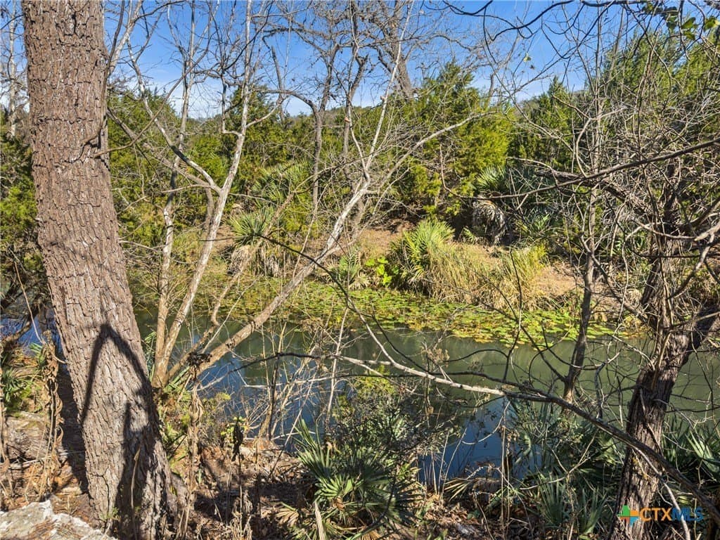 1.13 acres in Comal County - photo 19
