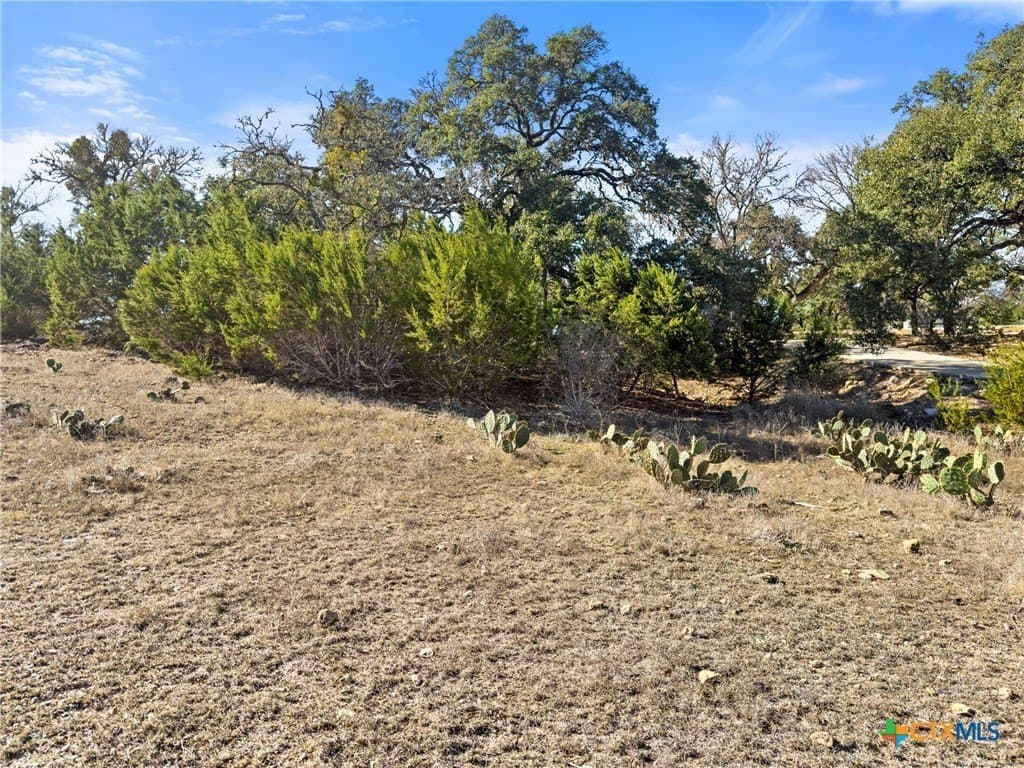 1.13 acres in Comal County - photo 17