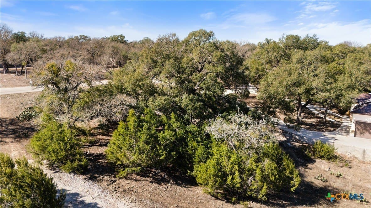 1.13 acres in Comal County - photo 28