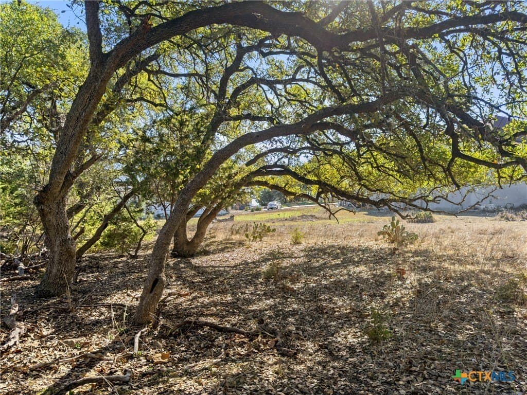 1.13 acres in Comal County - photo 5