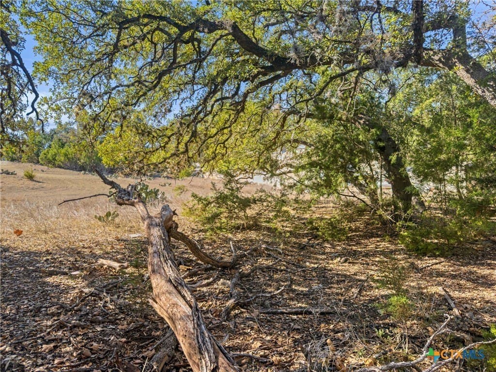 1.13 acres in Comal County - photo 8
