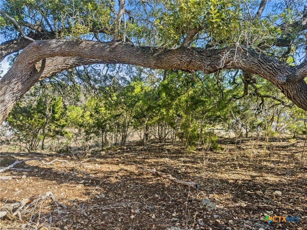 1.13 acres in Comal County - photo 16