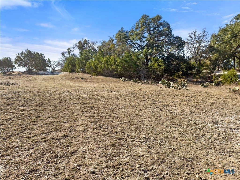 1.13 acres in Comal County - photo 18
