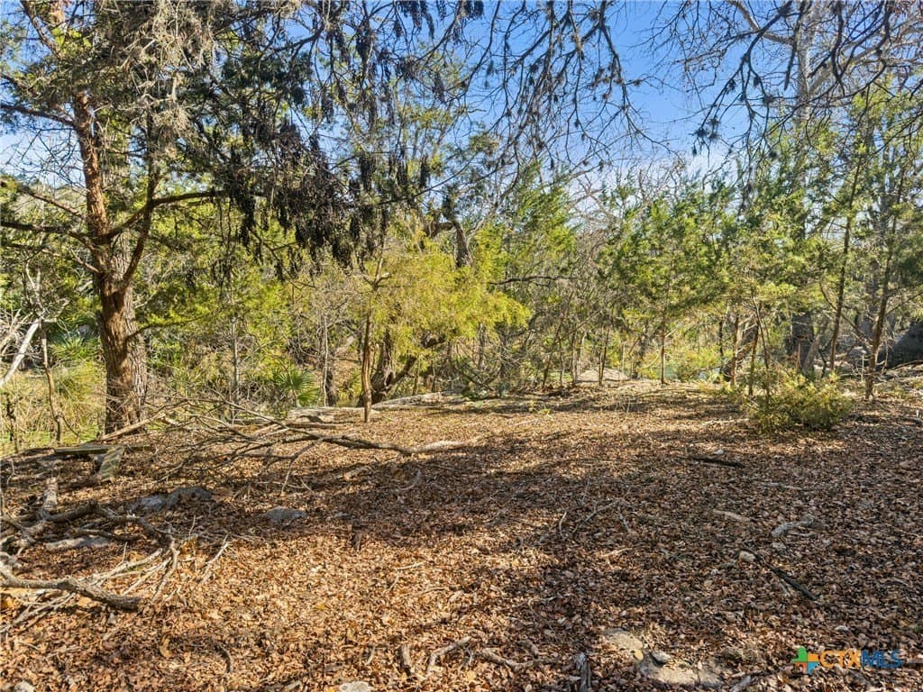 1.13 acres in Comal County - photo 12