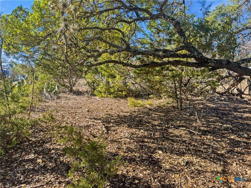 1.13 acres in Comal County - photo 15
