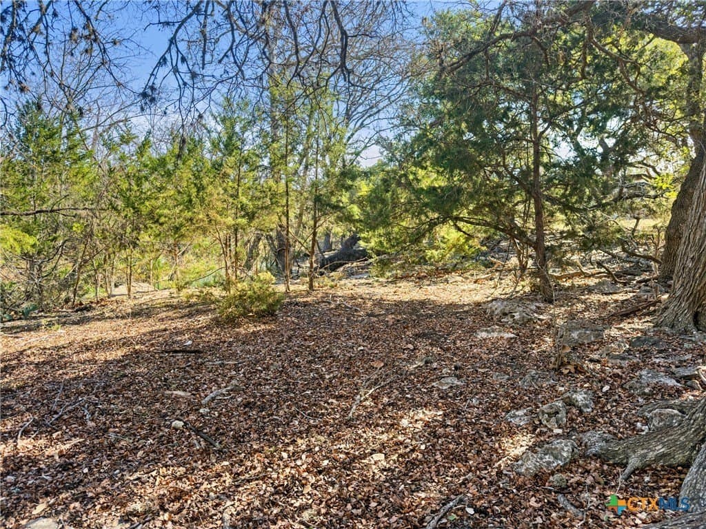 1.13 acres in Comal County - photo 13