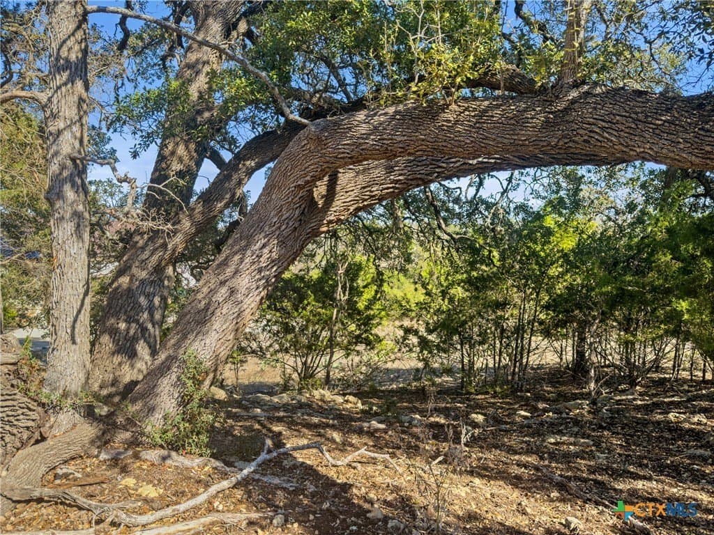 1.13 acres in Comal County - photo 4