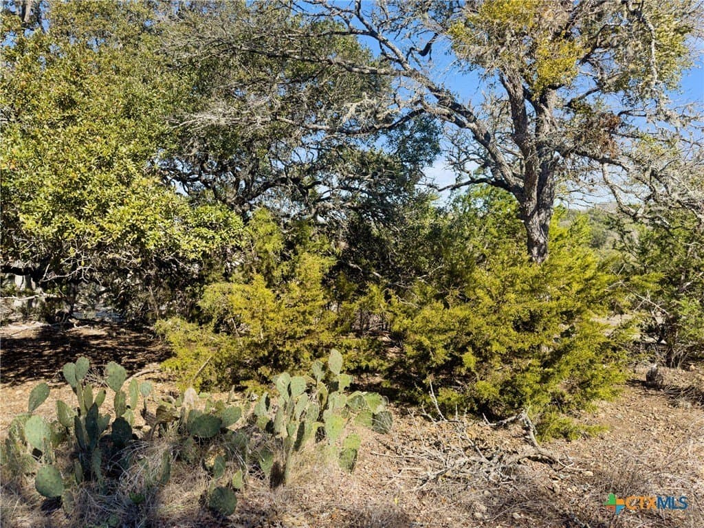 1.13 acres in Comal County - photo 14