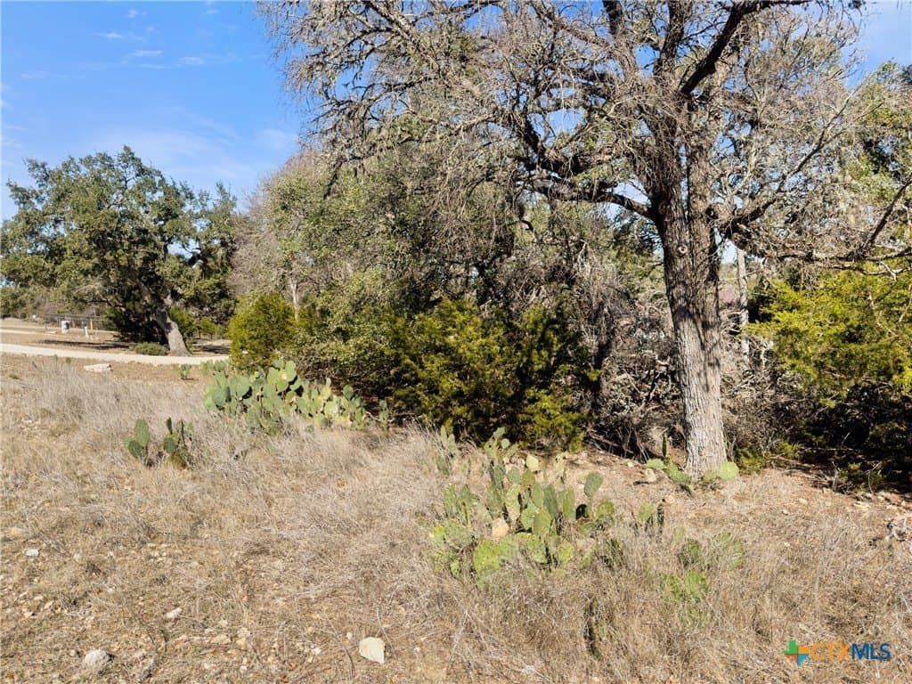 1.13 acres in Comal County - photo 10