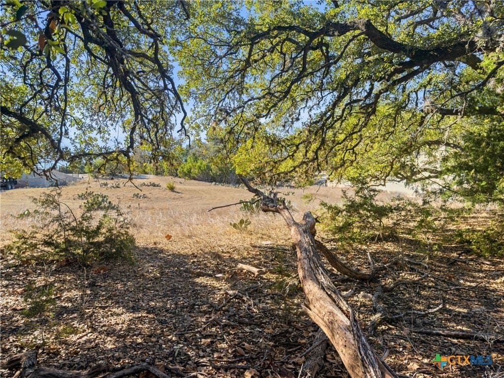 1.13 acres in Comal County - photo 9