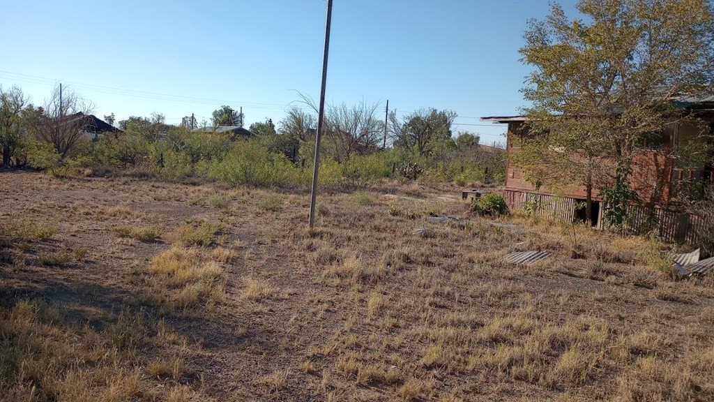 0.65 acres in Jeff Davis County - photo 4