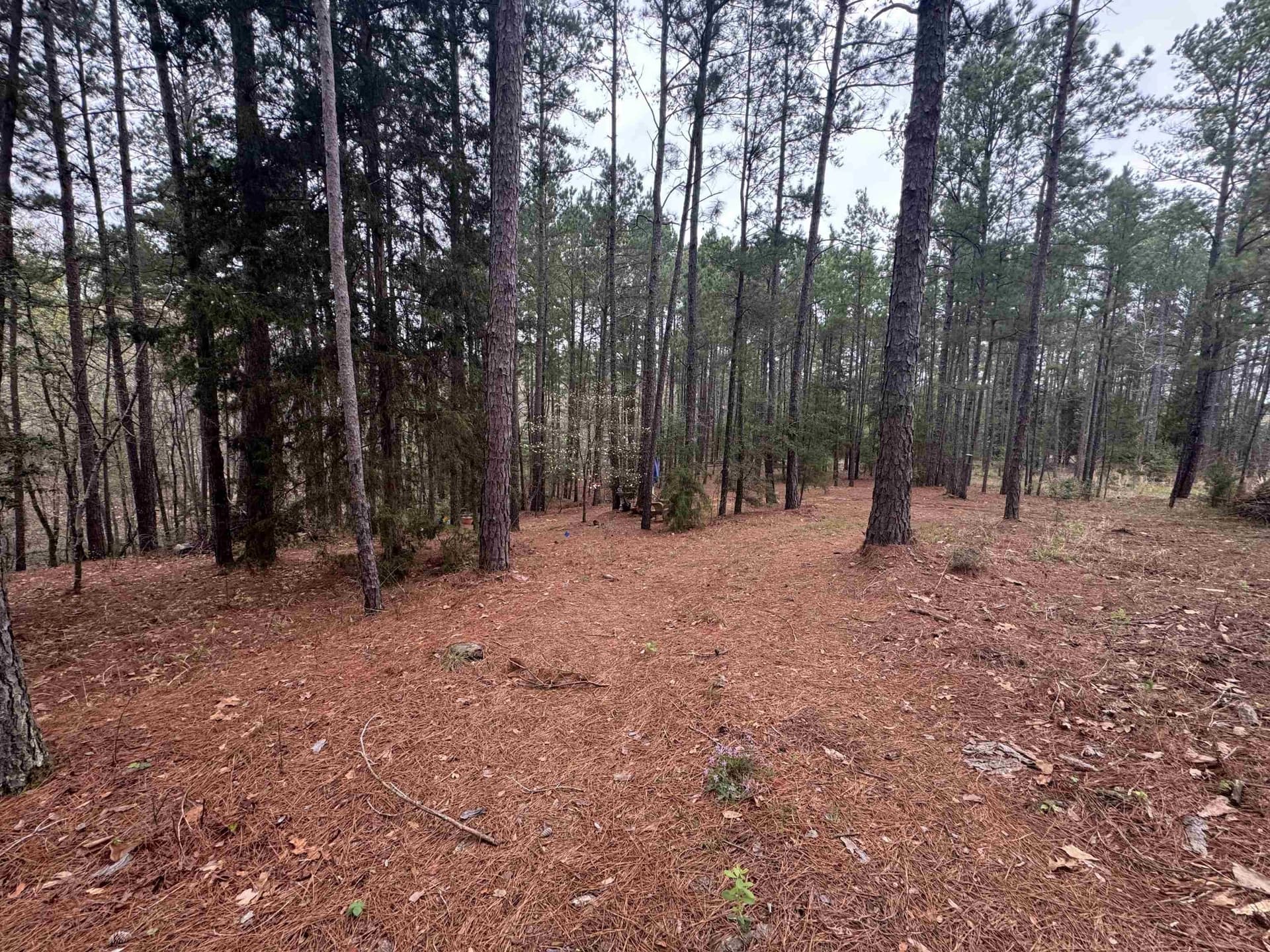 2.35 acres in Texas County - photo 2