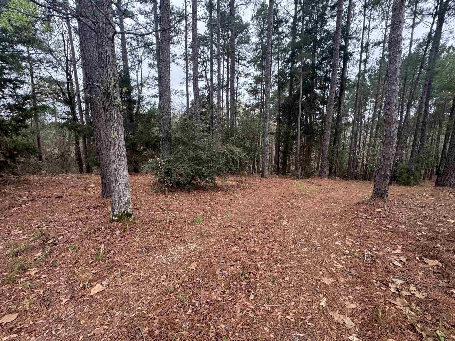 2.35 acres in Texas County - photo 5