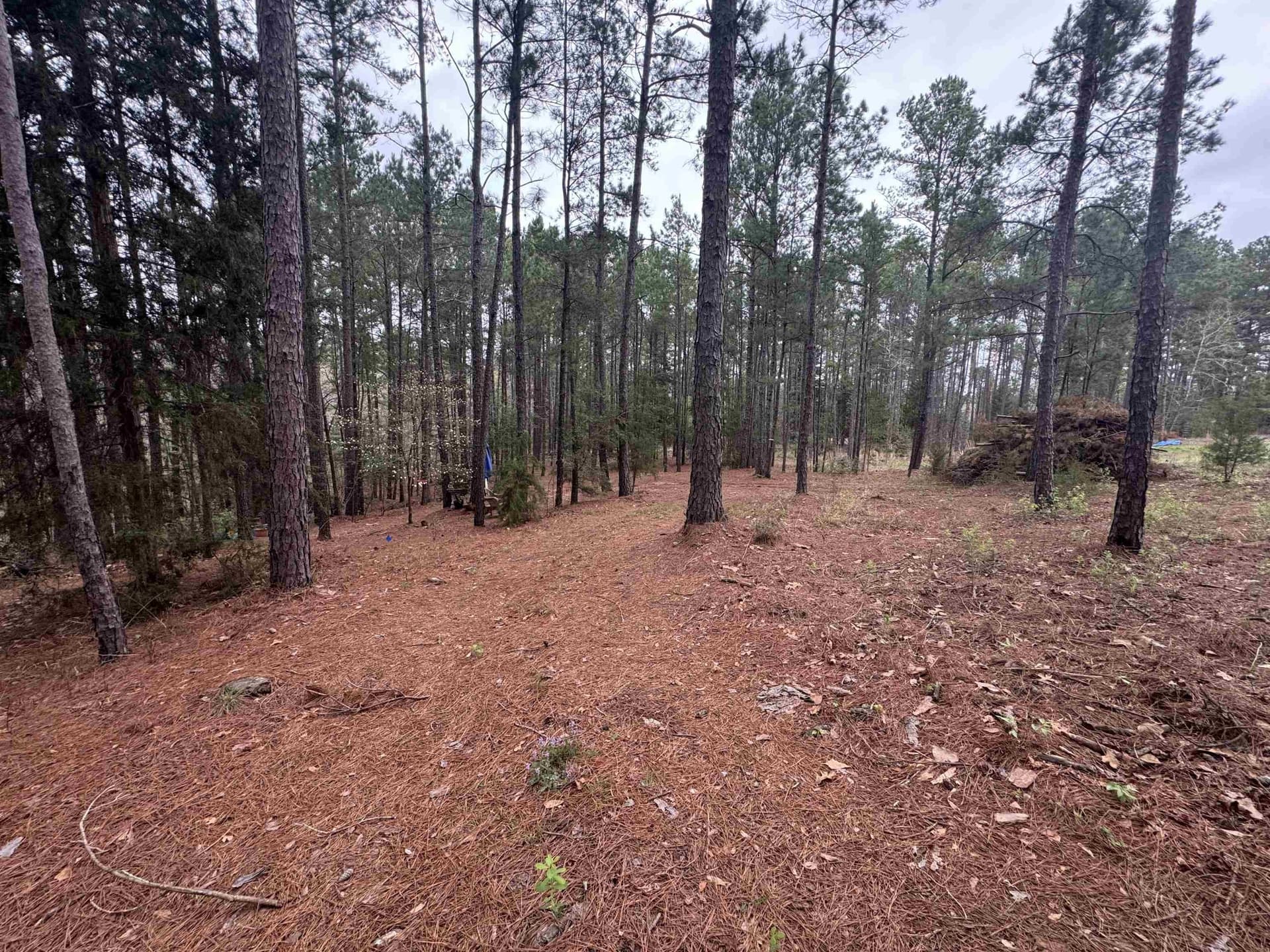 2.35 acres in Texas County - photo 3