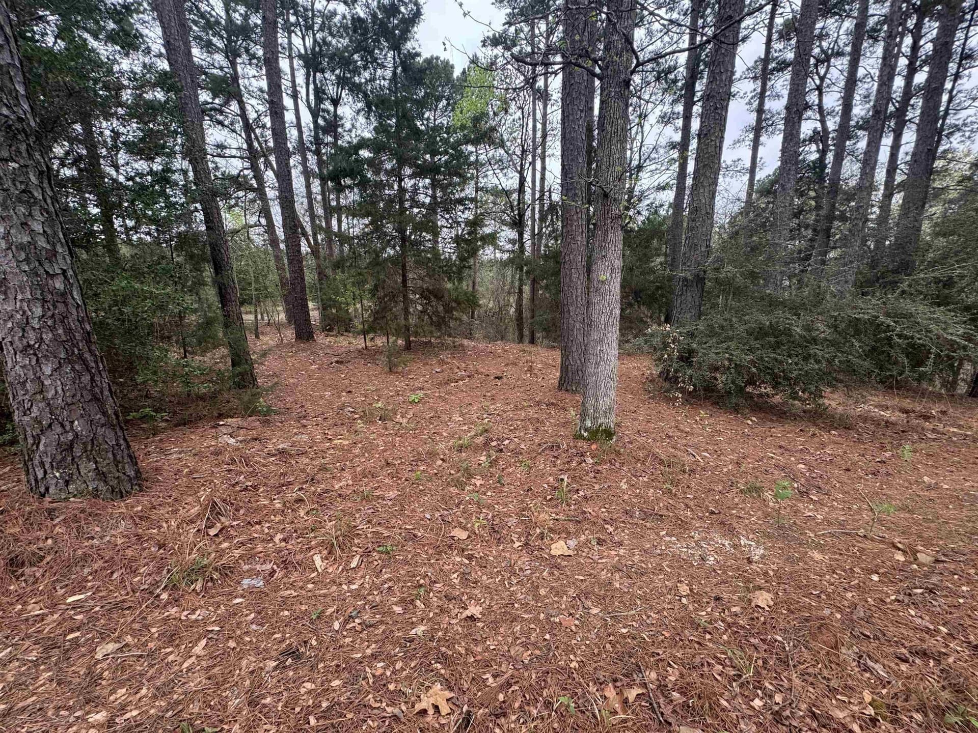 2.35 acres in Texas County - photo 4