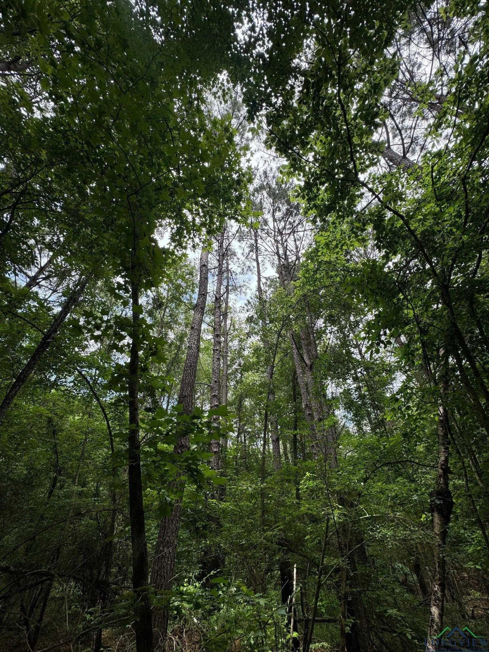 8.42 acres in Marion County - photo 11