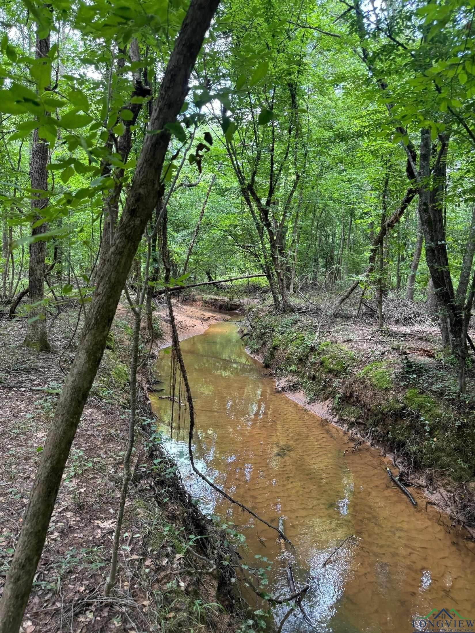 8.42 acres in Marion County - photo 10