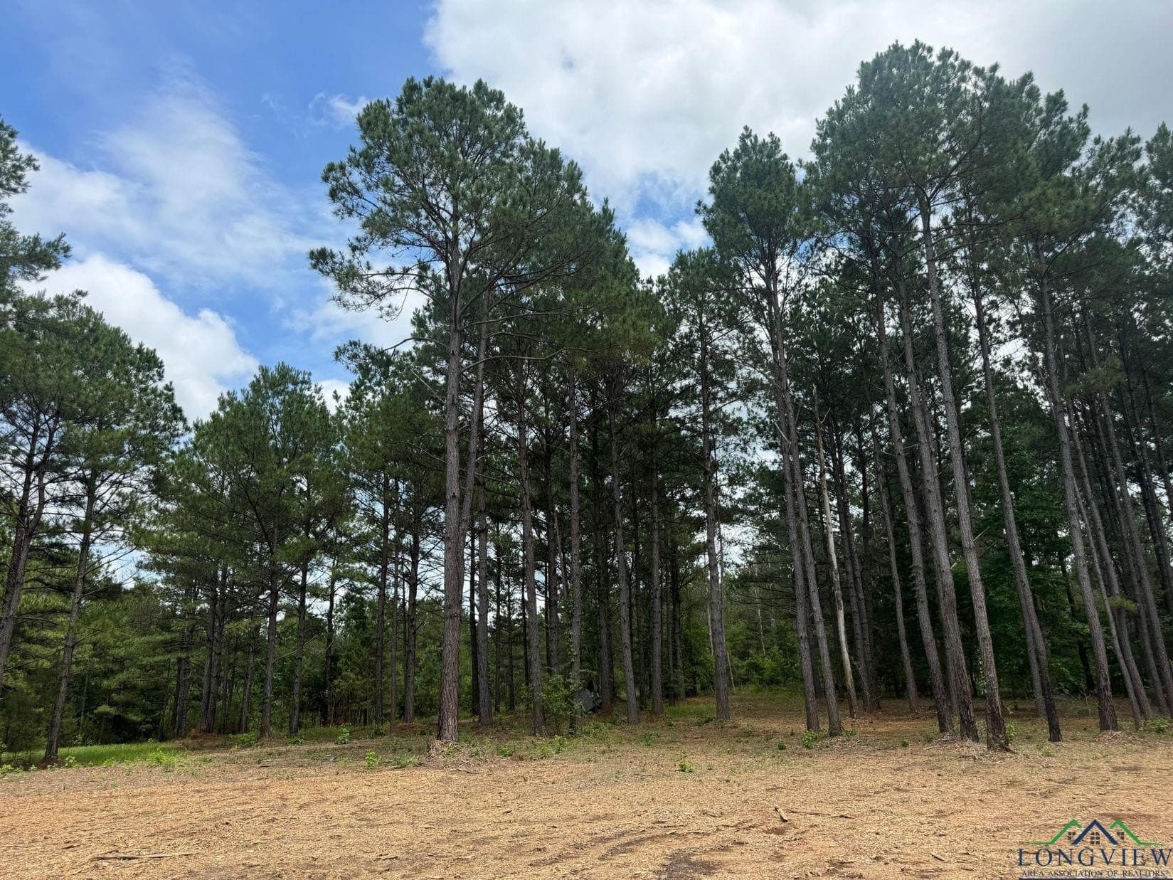 8.42 acres in Marion County - photo 8