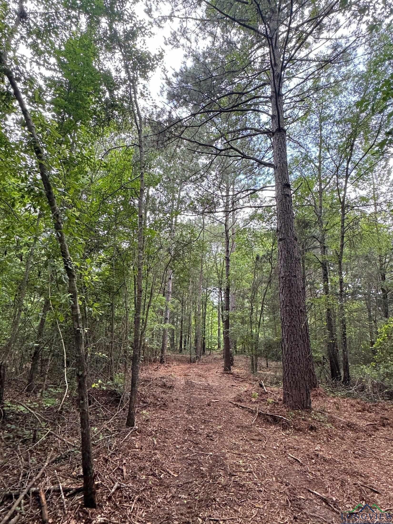 8.42 acres in Marion County - photo 12