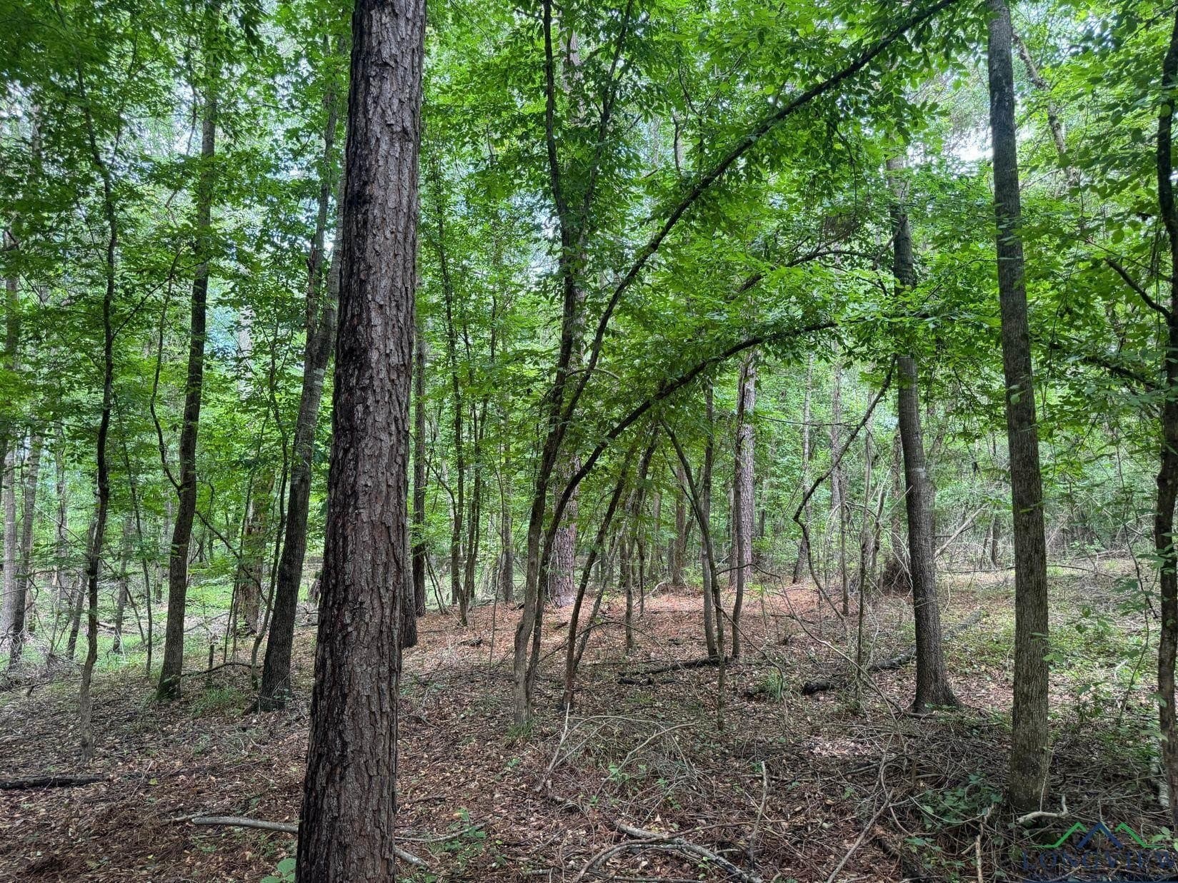 8.42 acres in Marion County - photo 7