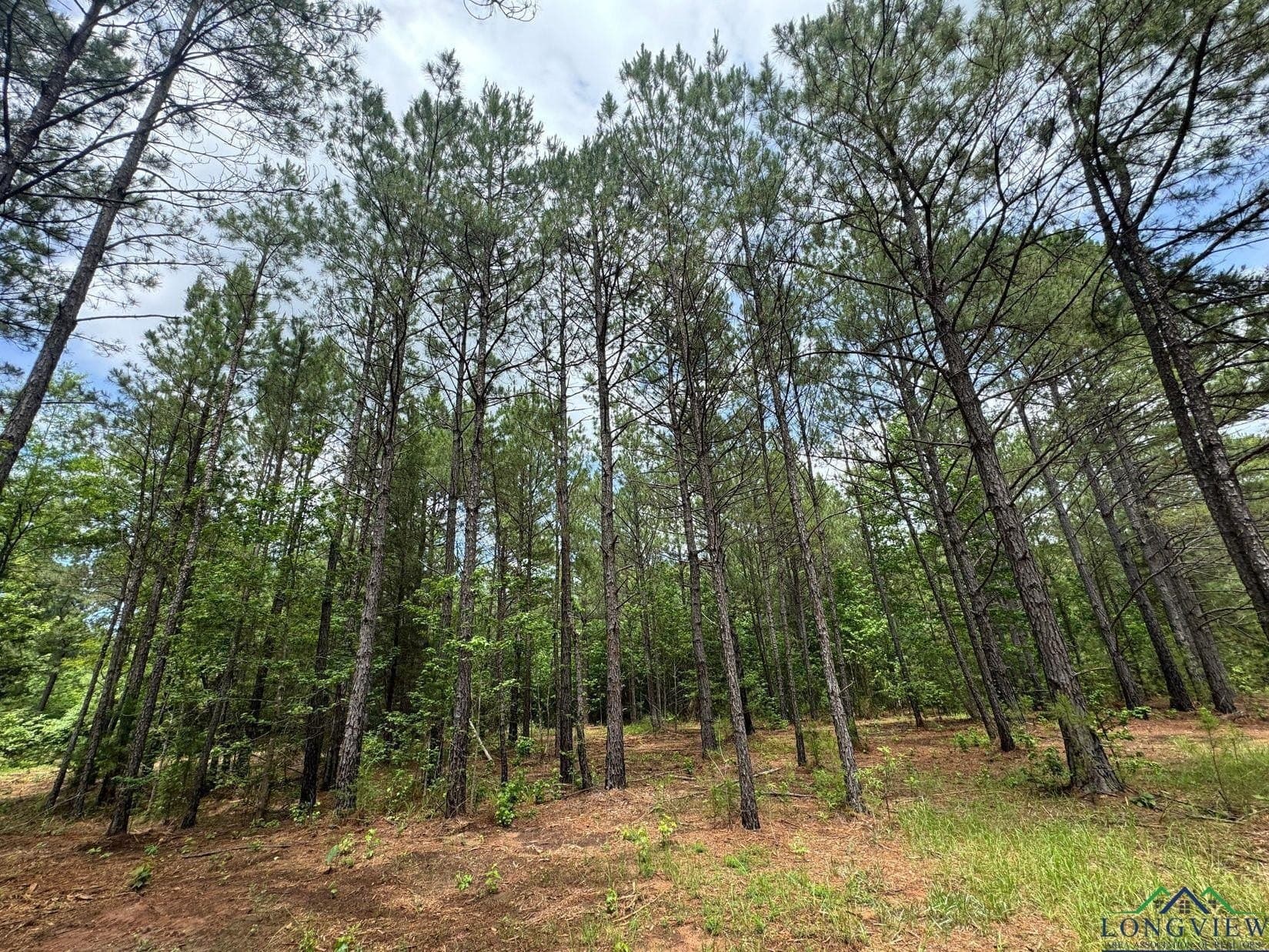 8.42 acres in Marion County - photo 5