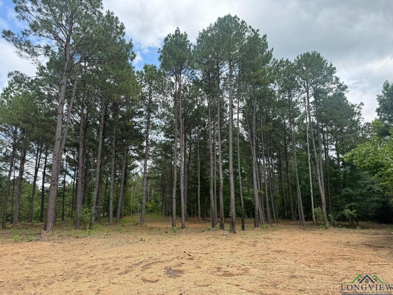 8.42 acres in Marion County - photo 9