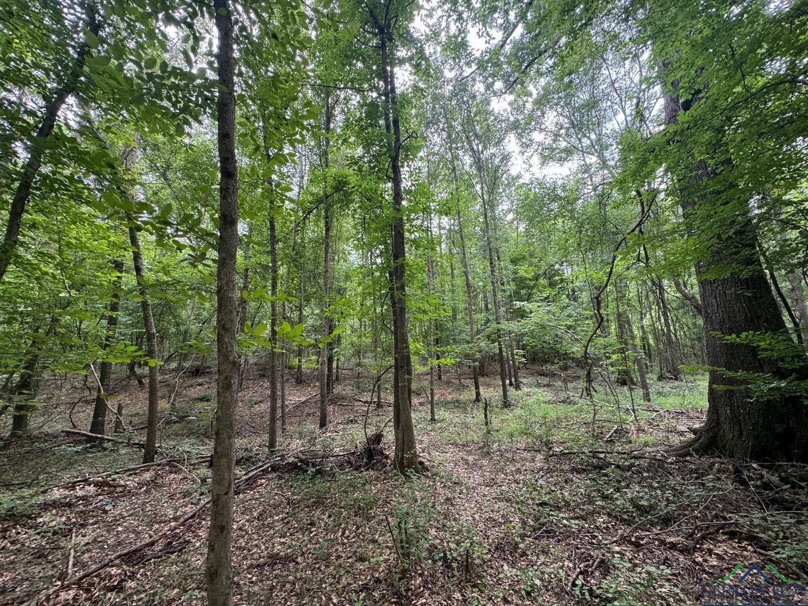8.42 acres in Marion County - photo 3
