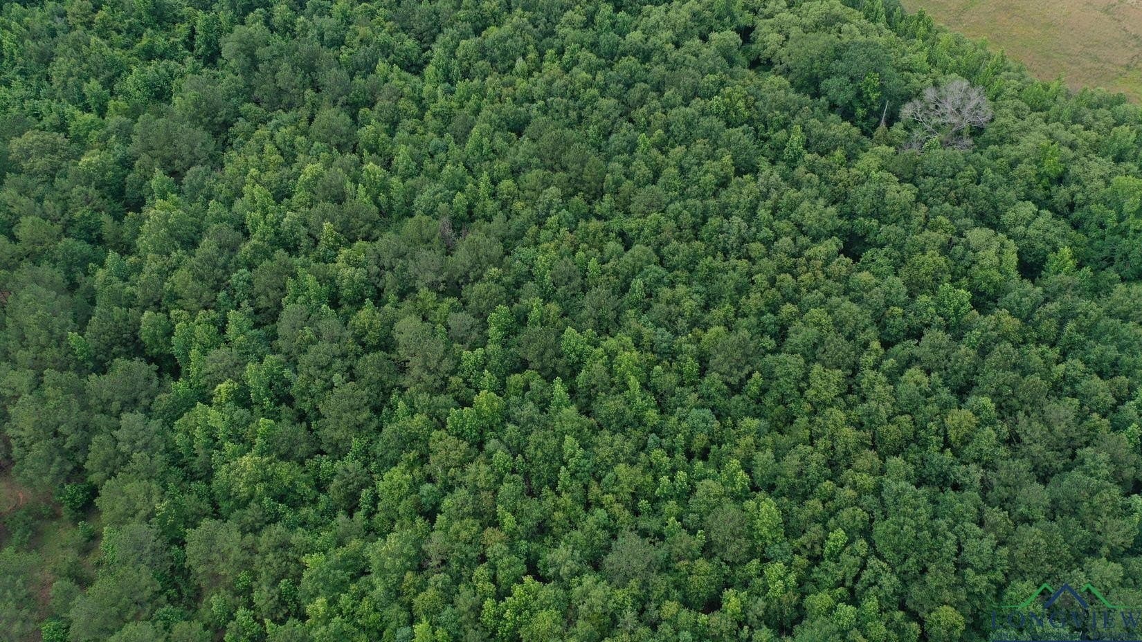 8.42 acres in Marion County - photo 2