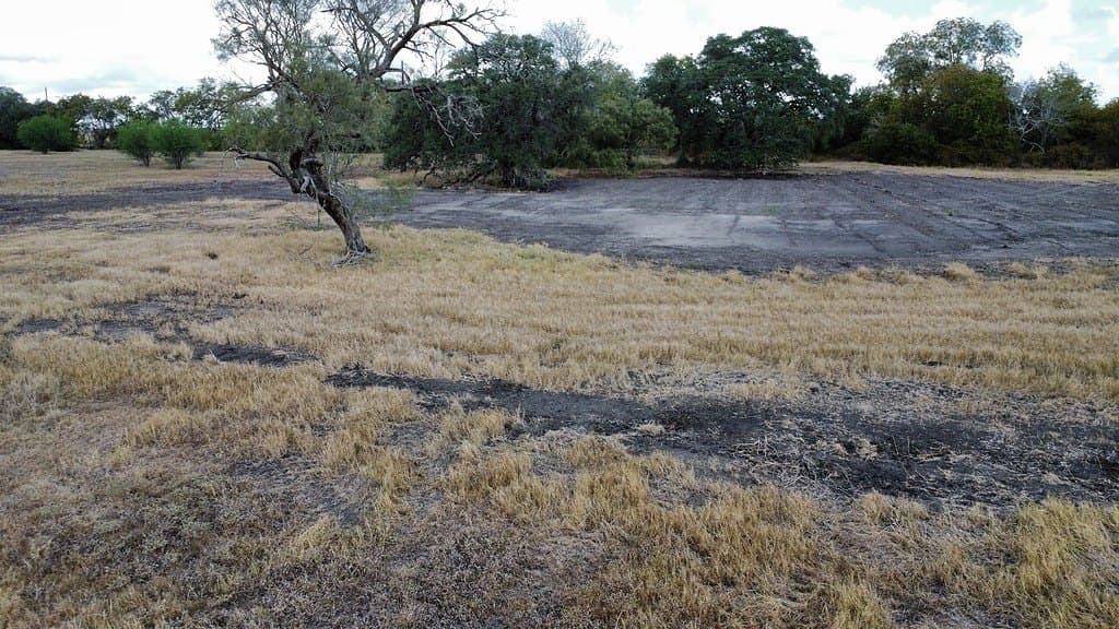 10.81 acres in Colorado County - photo 7