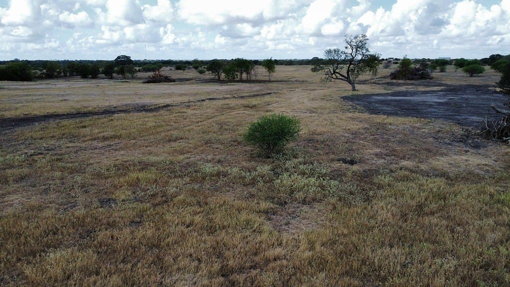 10.81 acres in Colorado County - photo 13