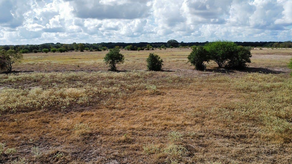 10.81 acres in Colorado County - photo 12