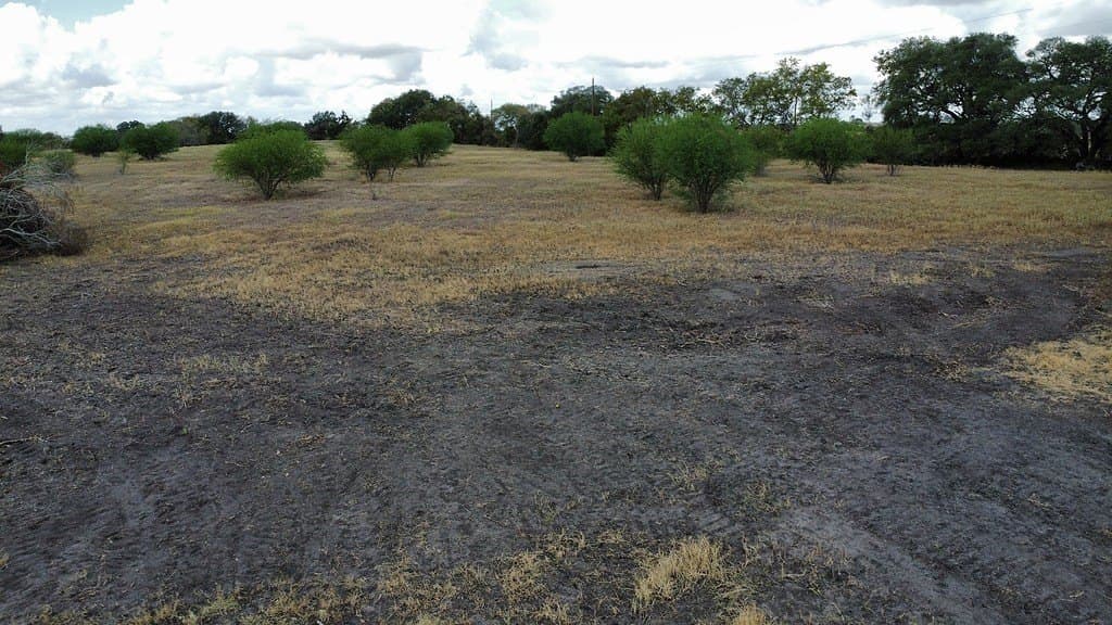 10.81 acres in Colorado County - photo 16
