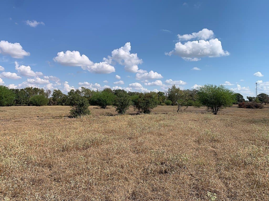 10.81 acres in Colorado County - photo 5
