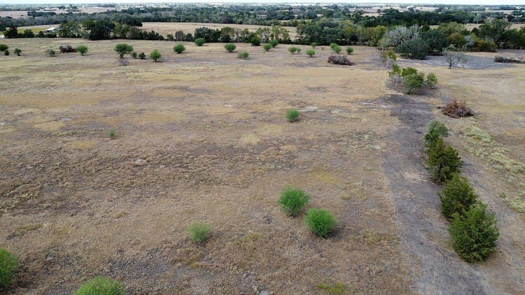 10.81 acres in Colorado County - photo 17