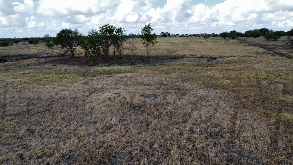 10.81 acres in Colorado County - photo 15