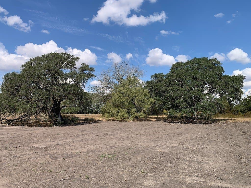 10.81 acres in Colorado County - photo 4