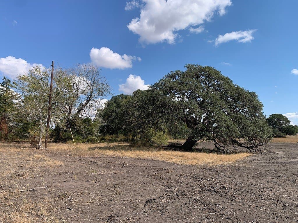 10.81 acres in Colorado County - photo 10