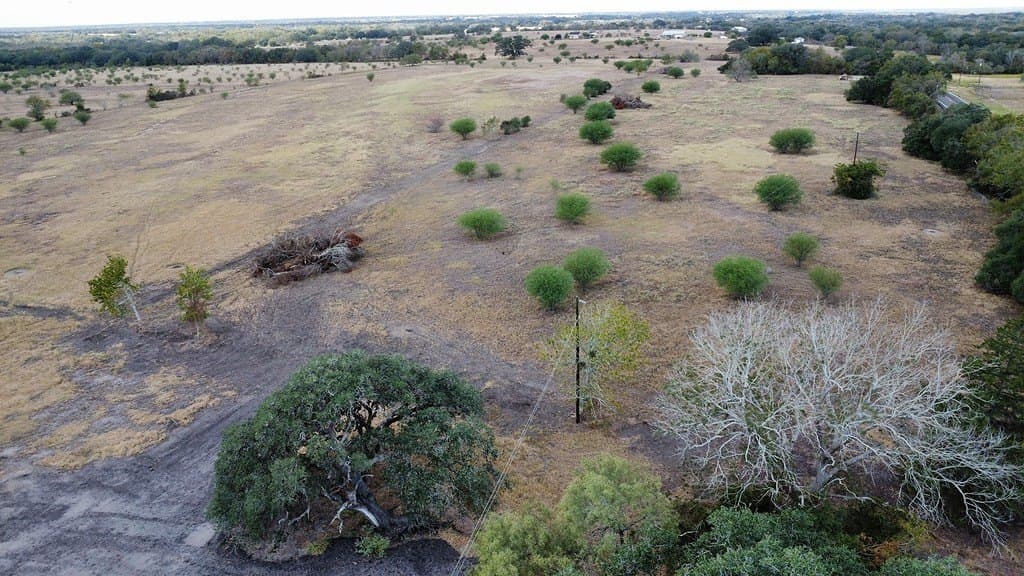 10.81 acres in Colorado County - photo 11