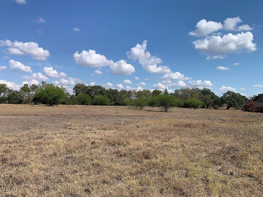 10.81 acres in Colorado County - photo 9
